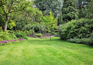 Optimiser l'expérience du jardin à Villard-de-Lans